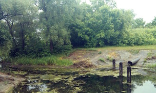 Экологические услуги от ПромМир-Пхв в Похвистневе - стоимость от 12302 руб.