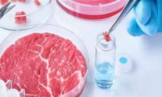 Лабораторный анализ пищевых продуктов по СанПиН в Похвистневе в октябре