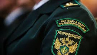Подготовка к проверке Росприроднадзора в Похвистневе от ПромМир-Пхв, стоимость услуги от 20504 руб.